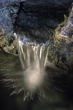 L'eau de Lourdes